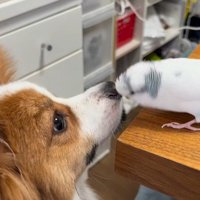 まるで打ち合わせ！？