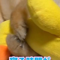 そっと渡してみると…