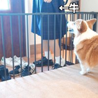 翌朝はお見送りしてくれました♪