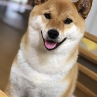 ニコニコ