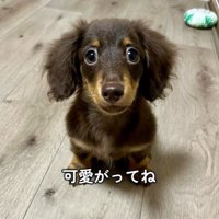 うにくんのお迎え前後のギャップ⑩