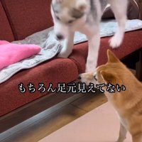 うっかり足を滑らせた