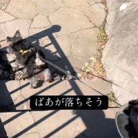 無事に階段の下に到着！