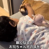 いさきくんと赤ちゃん