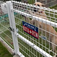 外で遊んでいた幸太郎くんと凛ちゃん5