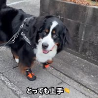だいぶ慣れてきたようです♪