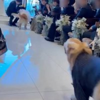 やっと新郎新婦の元へ…