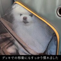 新幹線での移動も慣れたもの