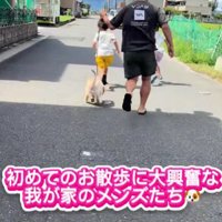 ルカちゃんと家族のお散歩