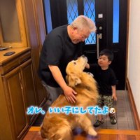 撫でられるマッシュくん