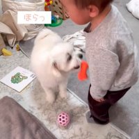 リリちゃんと赤ちゃん5