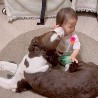 ププくんと娘さん8