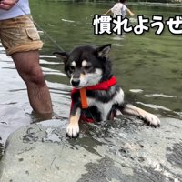 水嫌いは克服できませんでした…