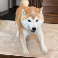 大喜びでお出迎え♡