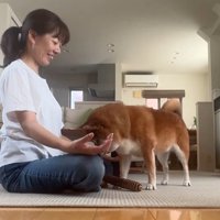 瞑想を邪魔する野々花ちゃん8