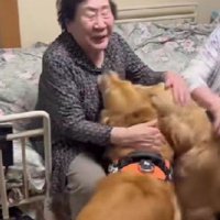 双子のおばあちゃんと再会