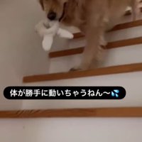 エマちゃんとパパさんの再会8