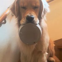 「朝ごはん遅いんだけど…？」