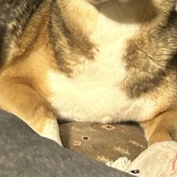 マックスさんの表情はいかに？
