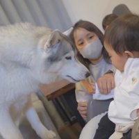 犬におやつを手渡しする赤ちゃん