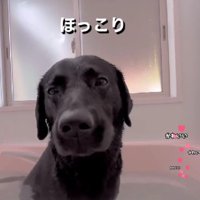 「いい気持ち～」