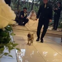 ダッシュで逆戻り！！