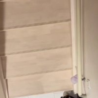 ここまるちゃんがいる！