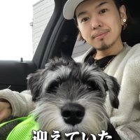 人に抱かれる犬