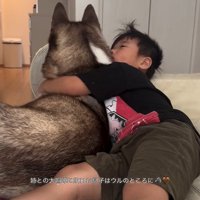男の子を慰めるウルくん2