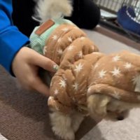 何度起こしても…