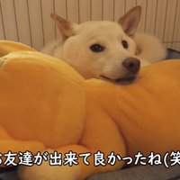 満更でもなさそう♪