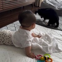 赤ちゃんとワンちゃんの初対面7