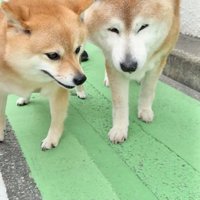 心温まる楽しい思い出