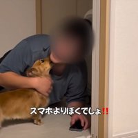 見つめる犬