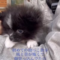 あたりを見渡すレイくん