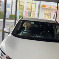 車に戻ってみると…