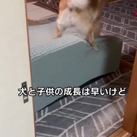 成長は速いけれど…