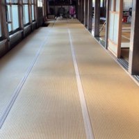 廊下の奥に並ぶ犬と人