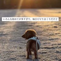 ラホちゃんとの出会いと現在⑩