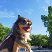 楽しかった毎日