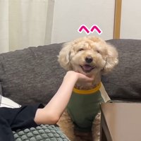 撫でてもらってニヤニヤ♡
