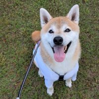 ニコニコ