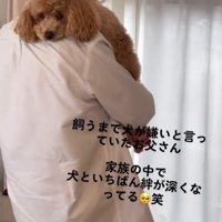 飼い主に抱かれている小型犬