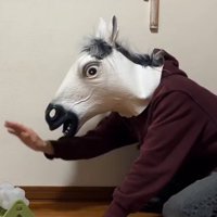 手を使って知育玩具を回す飼い主