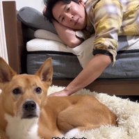 カメラ目線の明智くん