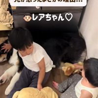 お兄ちゃんが一喝！！