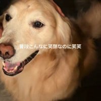 優しい姿にほっこり