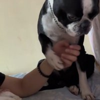 「オレがいるよ」と伝えるペレくん