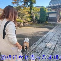 お寺の出口へ向かって歩きながら女性に話しかける男性