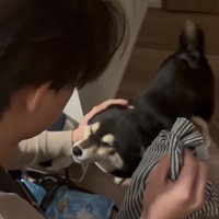 頭を差し出す犬